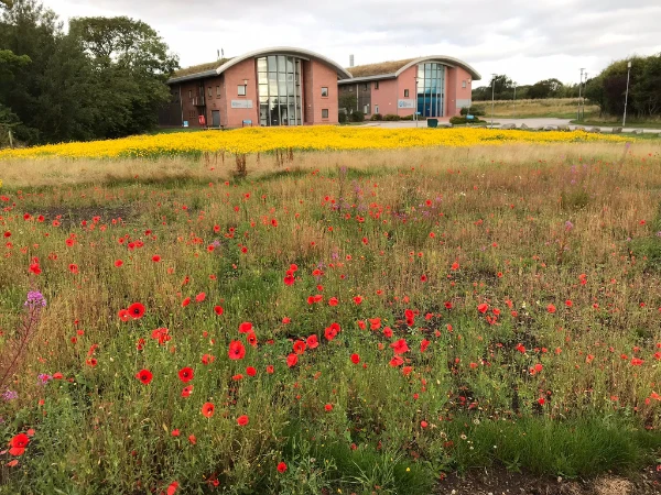 Action for Climate and Environment Newburgh-32